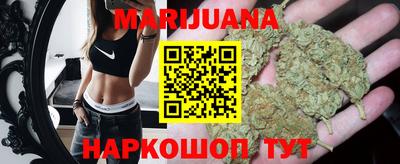 spice Новодвинск