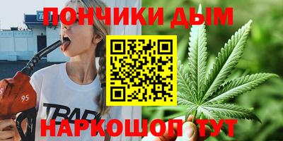 spice Новодвинск