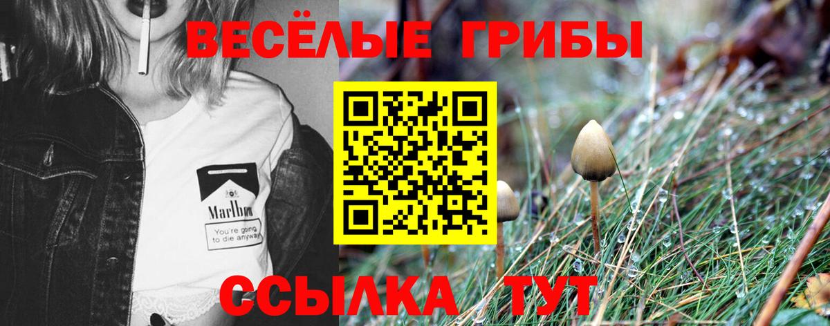 Галлюциногенные грибы Magic Shrooms  Вход с VPN  Щёлково 