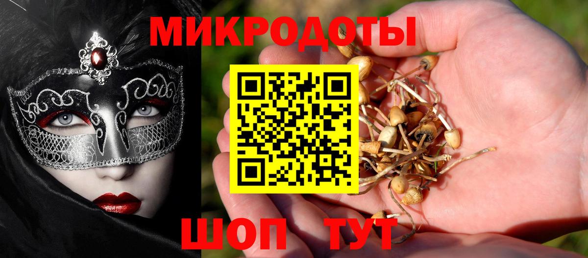 Псилоцибиновые грибы Psilocybine cubensis Щёлково